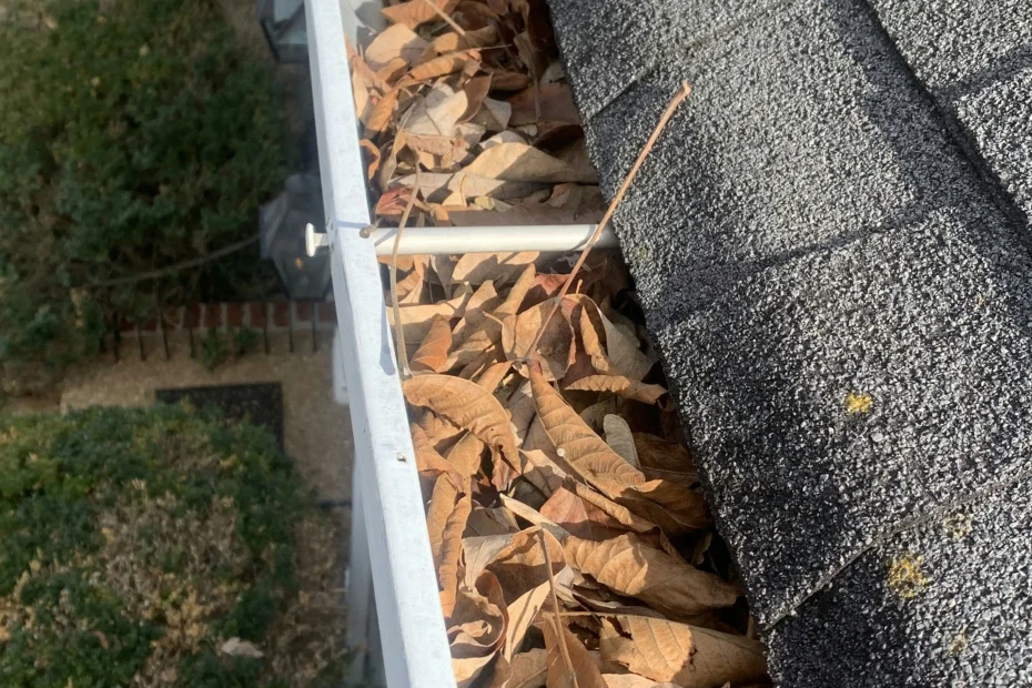 Abita Springs Gutter Cleaning