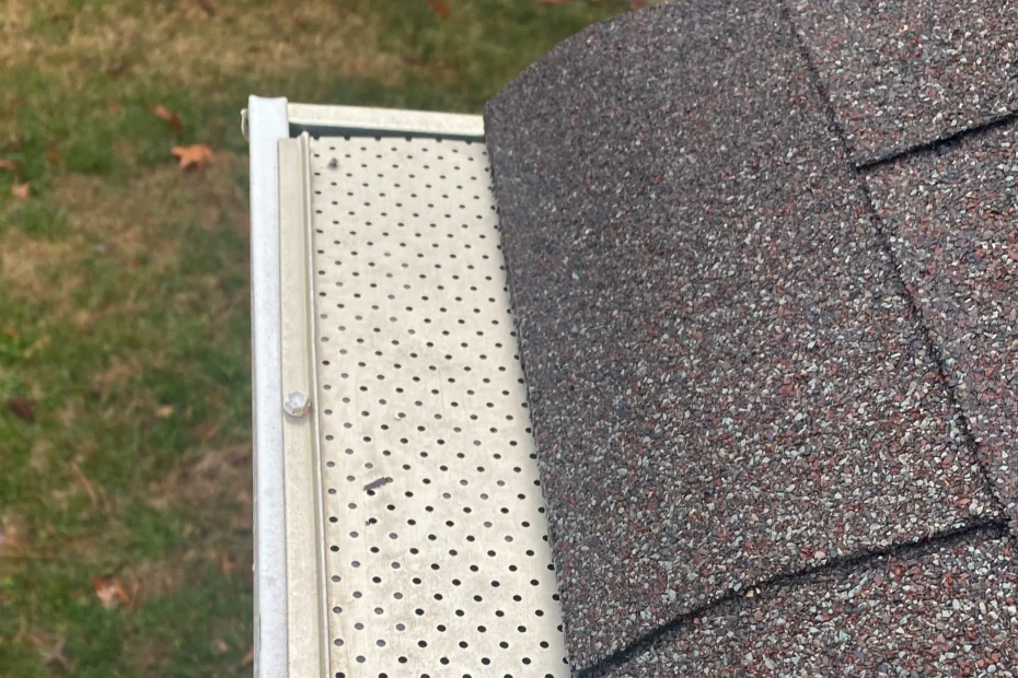 Abita Springs Gutter Cleaning